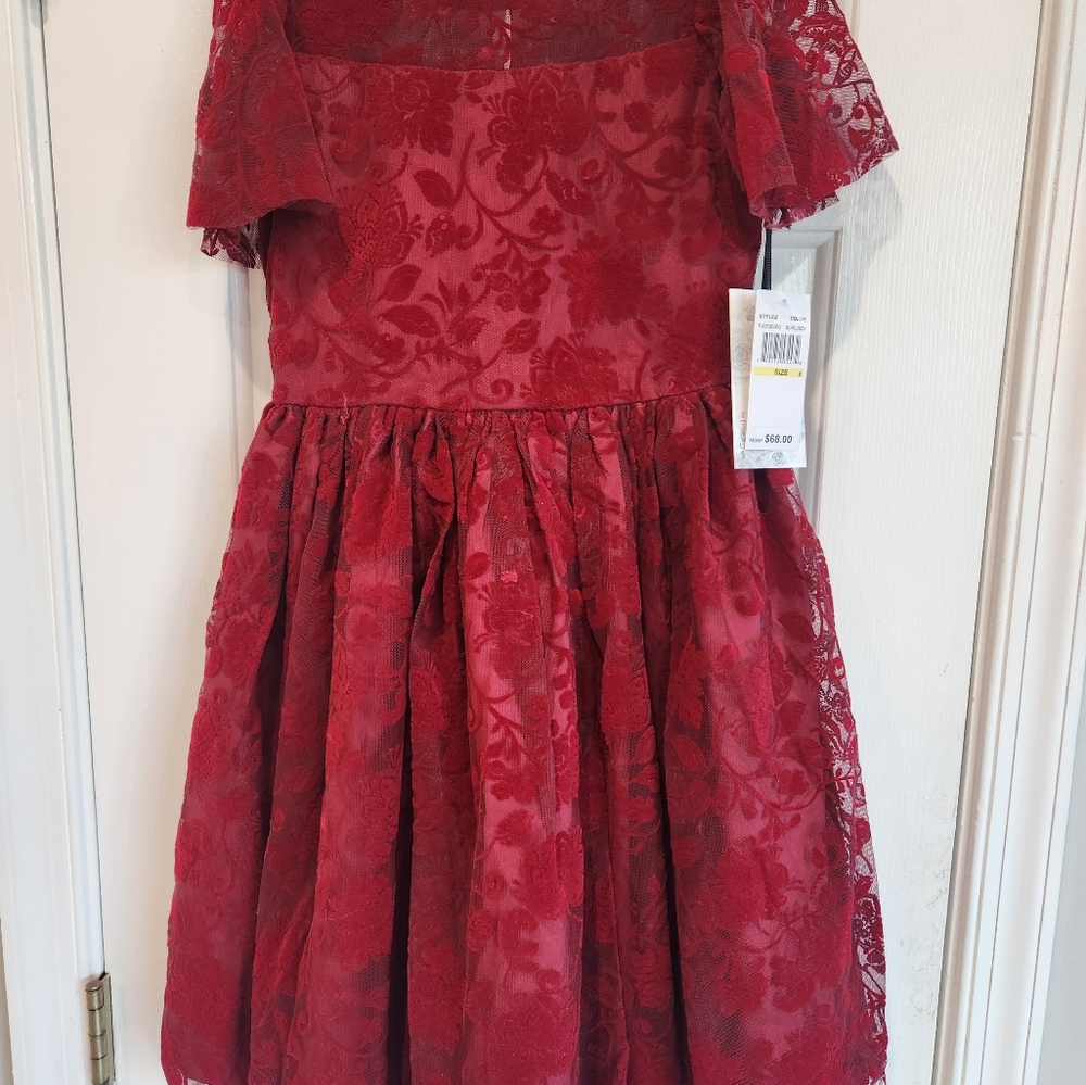 Elegant Red Lace Girl's Dress